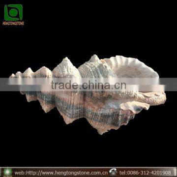 Large Marble Trumpet Shell, Garden Sea Shell Sculpture photo-2