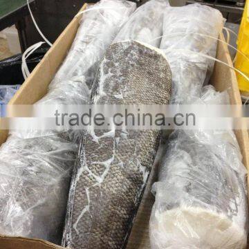 Patagonian Toothfish photo-4