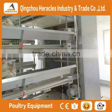 Hercles Trade Assurance Poultry Equipment Layer Egg Chicken Cage/poultry Farm House Design photo-6