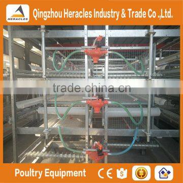 Shandong Trade Assurance Poultry Farming Equipment Automatic Chicken Layer Cage for Sale in Philippines photo-5