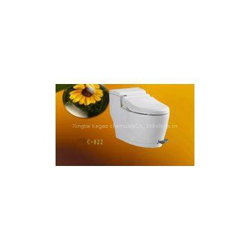 Foot Stepping Toilet photo-2