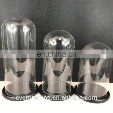 High Quality Clear Glass Container Display Bell Jar Glass Dome Wood Base