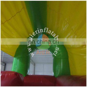 2017 New Design Inflatable Slide/mini Tropical Slide/factory Price Inflatble Slide photo-5
