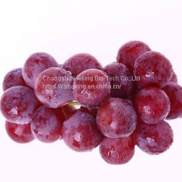 Natural Fruit Powder Extract Grape Seed Extra photo-2