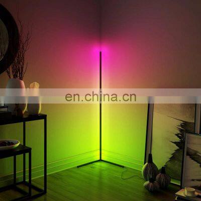 Nordic Modern Minimalist LED Line Lights Symphony RGB Wall Corner Floor Lamp