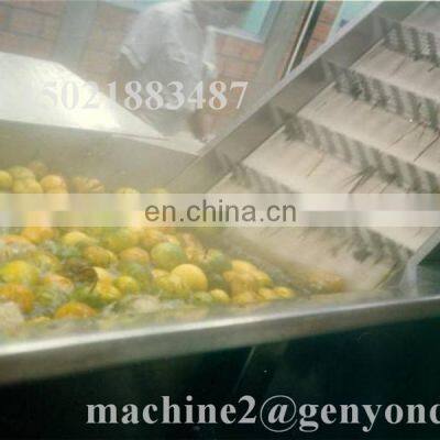 CHINA Factory Fruit Juice Machine Fresh Fruit Juice Production Line Used for Fruit Processing photo-5