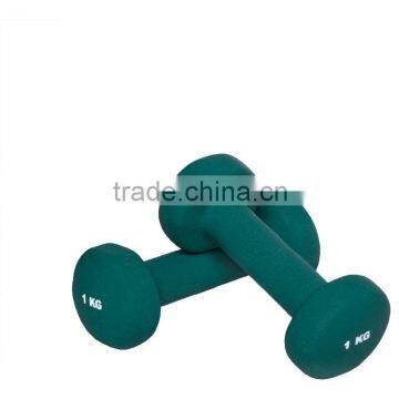 Vinyl Dipping Dumbbell & Barbell Set
