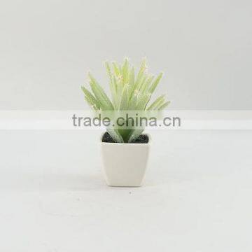 2014 new design Potted mini plastic cactus for home or office decorating