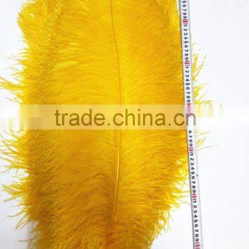 High Quality Real Natural Ostrich Feathers, Decorative Feathers Wholesale photo-5