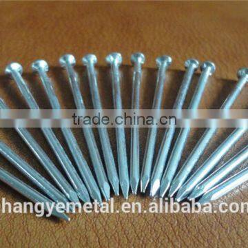 Building Common Wire Nail Made in China