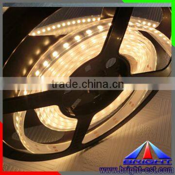 DC 12V 24V swiming pool waterproof ip68 led strip 5050