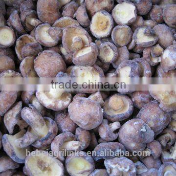 IQF frozen style suillus granulatus