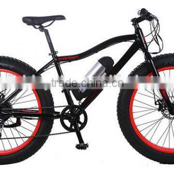 EN15194 500W Hub Mid-Drive Motor Electric Fat Bike