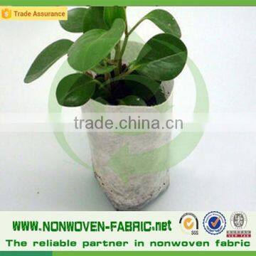 Agriculture pp spunbond nonwoven fabric /agriculture ground cover for plant,flower,fruit protection