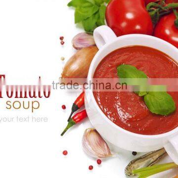Tinned Tomato Paste,sachet Tomato Paste,tomato Sauce,tomato Ketchup photo-5