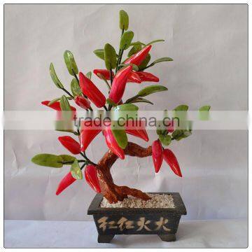 Middle Size Red Pepper Tree ,jade money tree