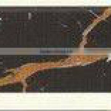 Skirting Tile,ceramic Tile,interior Tile