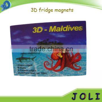 rich full color printing 3D resin fridge magnet