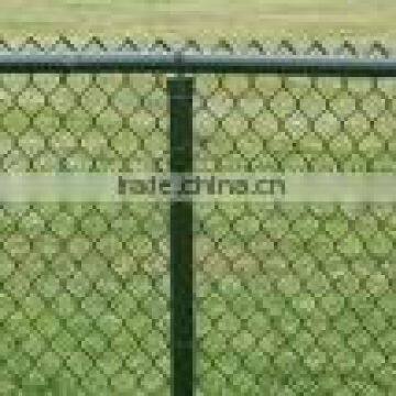 Galvanized welded wire mesh