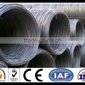 Steel wire rod in coil