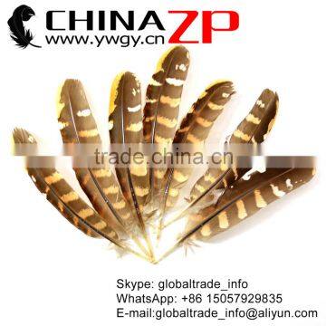 No.1 Supplier CHINAZP Top Selling 20-25cm Length Natural Reeves Venery Wing Pheasant Feathers for Decorations photo-2