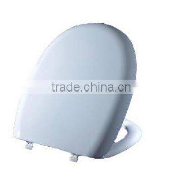 Plastic Injection Toilet Seat Mould