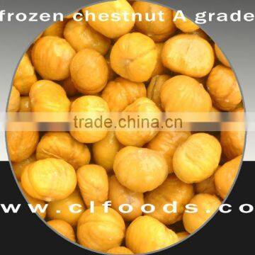 frozen chestnut foodstuff