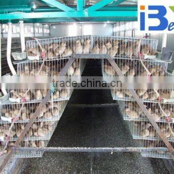 BT Factory hot-sale high quality layer quail cages for sale in poultry farm