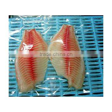 Frozen Tilapia fillet fish meat