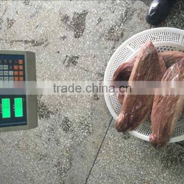 Grade A Frozen Yellow Tail Scad Fillet for Market IQF With Good Looking