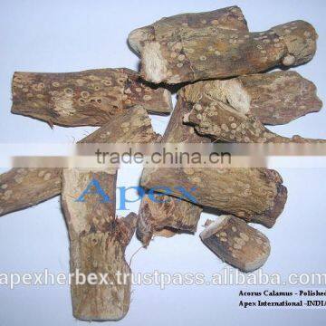 Herb Acorus Calamus / Buch / Acorus Calamus Root / Acorus Root Powder TBC