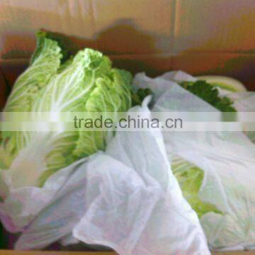 Chinese long cabbage