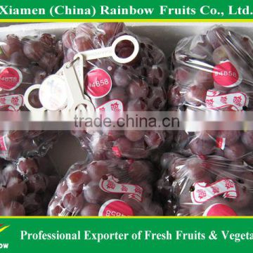 China Fresh Red Globe Grapes Sweet Red grapes Best fresh red grapes