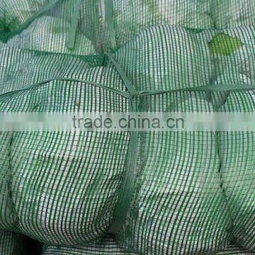 Cabbage Type and Cruciferous Vegetabless Product Type Fresh Cabbage photo-2