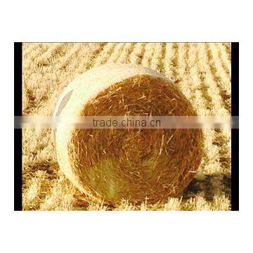 Straw hay bale, animal filler hay, wheat straw hay, wheat hay bale, straw bale, straw hay