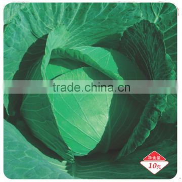 Hybrid F1 cabbage Seeds Kale Seed Vegetable seeds for sale for planting-Dongyueqiangsheng