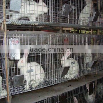 rabbit farming cage with all equipment