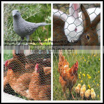 China factory sale poultry wire 1/2 hex mesh chicken wire