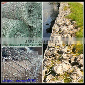 Green pvc coated hexagonal wire mesh/chicken wire mesh/gabion mesh