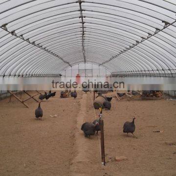 Fire retardant and Large Multi-span breeding greenhouses,chicken house,chicken greenhouse