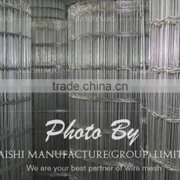 Galvanized Mesh Screen photo-3