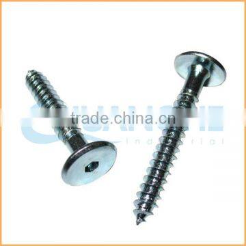 China Factory Sales Decorative Furniture Screws and Nuts photo-2