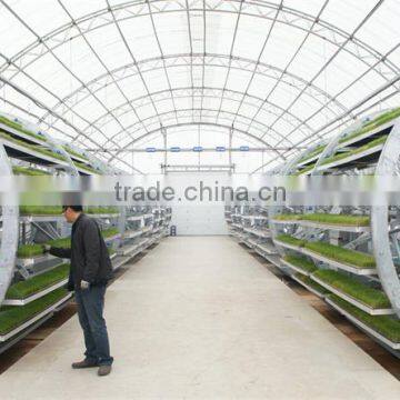 Factory Price Commercial Greenhouse Plastic photo-3