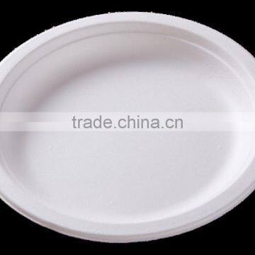 7 Inch Disposable Biodegradable Sugarcane Plates photo-3