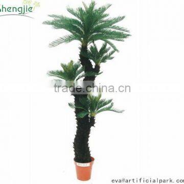 SJ300915 Decorative Cycas Revoluta Tree/artificial Cycas Revoluta Bonsai Plant photo-3