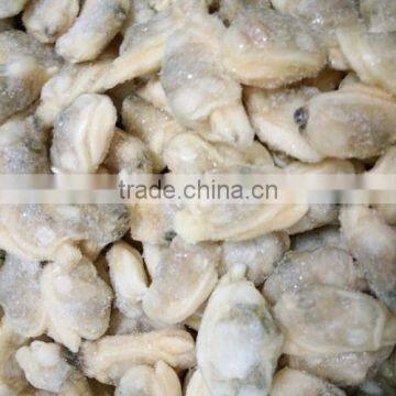 IQF cooked baby clam meat without shell for export