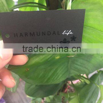 2017 China Hot Sale High Quality Black Cardboard Paper Jeans Hang Tags photo-4