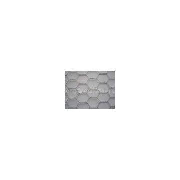 Hot-dipped galvanized Hexagonal Wire Netting for poultry enclosure