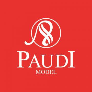 PaudiModel Technology Company Ltd