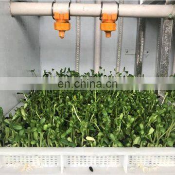 TAIZY High Quality Electric Automatic Bean Sprout Machine,Bean Sprout Growing Machine,Mung Bean Sprout Machine Price photo-5